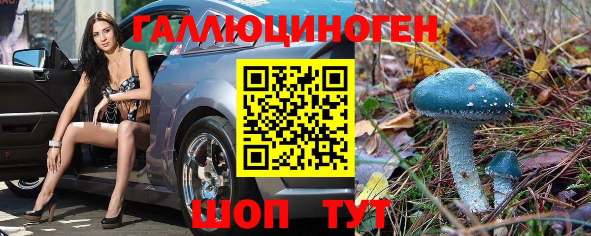 Псилоцибиновые грибы MAGIC MUSHROOMS  Псилоцибиновые грибы мицелий  Вход с VPN  Гатчина 