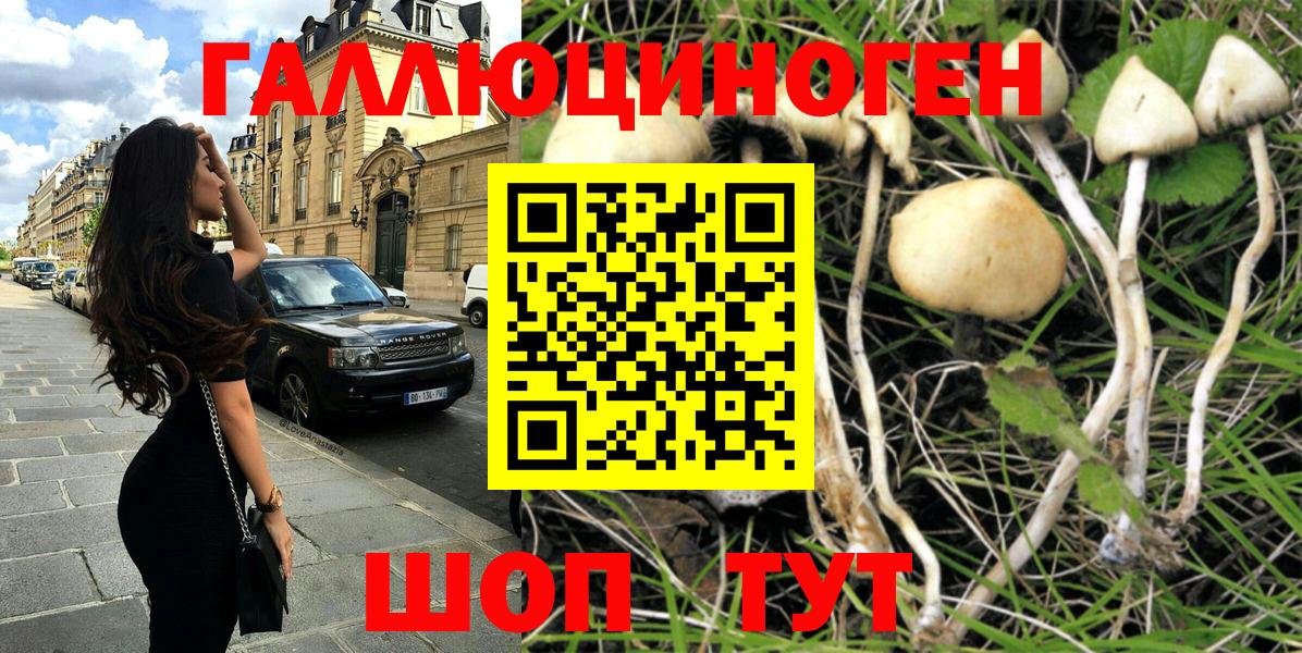 Псилоцибиновые грибы MAGIC MUSHROOMS Гатчина